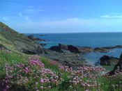 Pembrokeshire Coast National Park